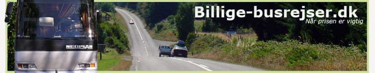 top banner